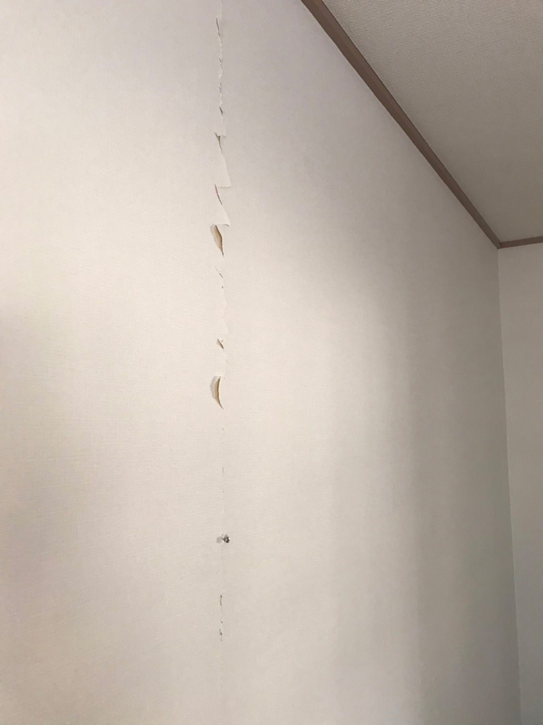 施工前